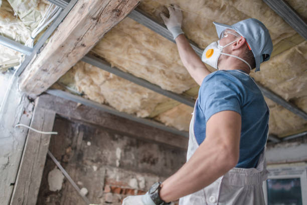 Best Insulation Maintenance and Repair in Avis, PA