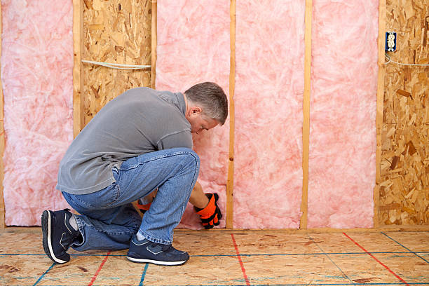 Best Energy Efficiency Insulation in Avis, PA
